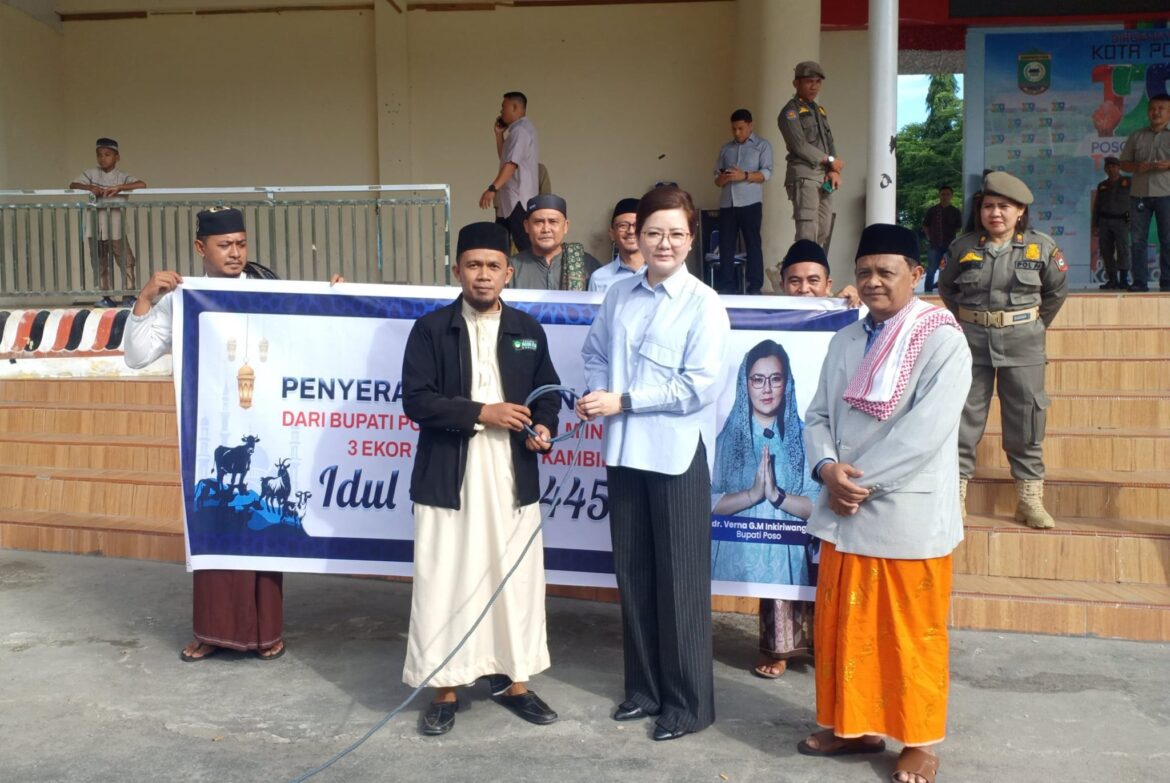 Diterima Langsung Ketua DPP Yayasan Banua Amal, Serah Terima Hewan Kurban di Hari Raya Idul Adha 1445 dari Pemerintah Daerah Kota Poso berjalan Lancar