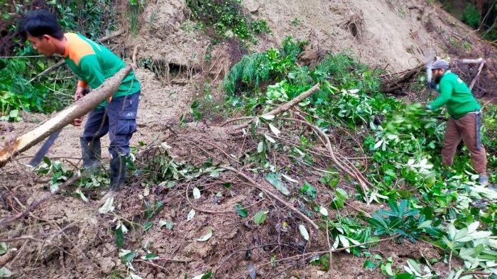 Hujan Deras, Jalan Penghubung Kelurahan Moengko-Lembomawo Poso Longsor